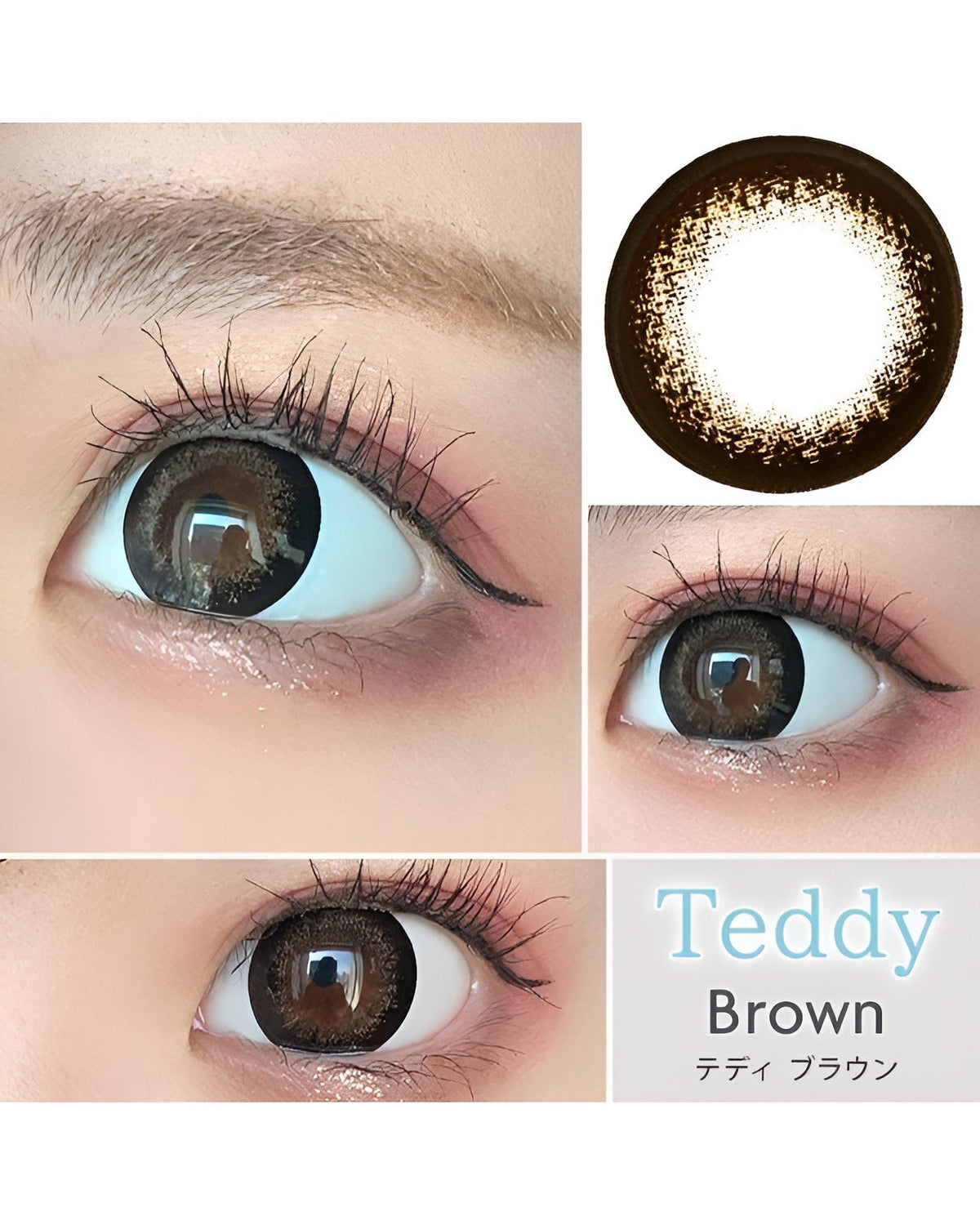 テディ [Teddy] DIA15.0mm 最長1年【2枚(1箱1枚ずつ)】 ブラウン 2枚目