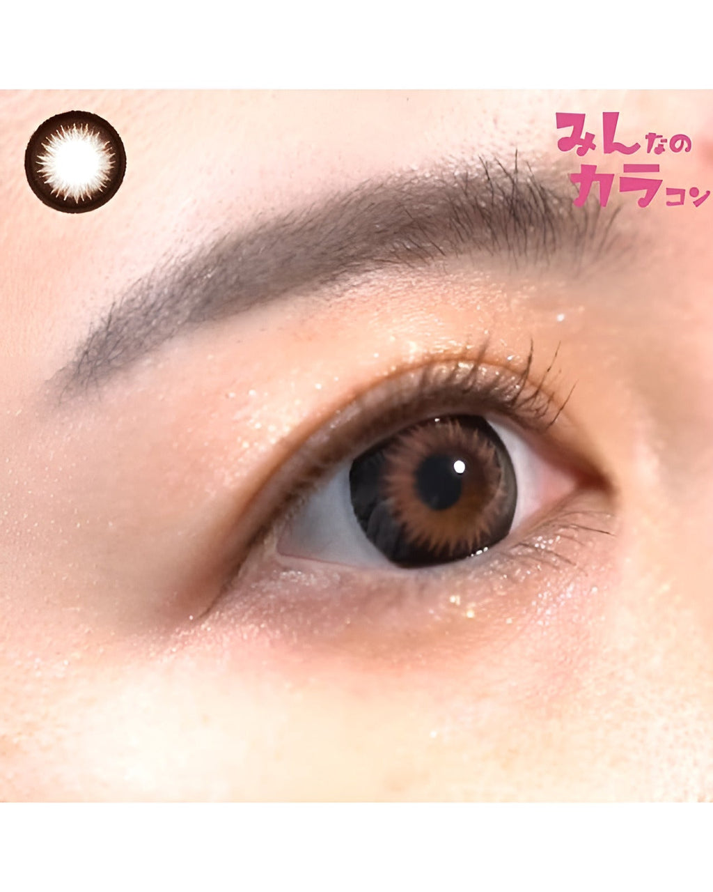 ティアラ [Tiara] DIA15.0mm 最長1年【2枚(1箱1枚ずつ)】 ブラウン 3枚目