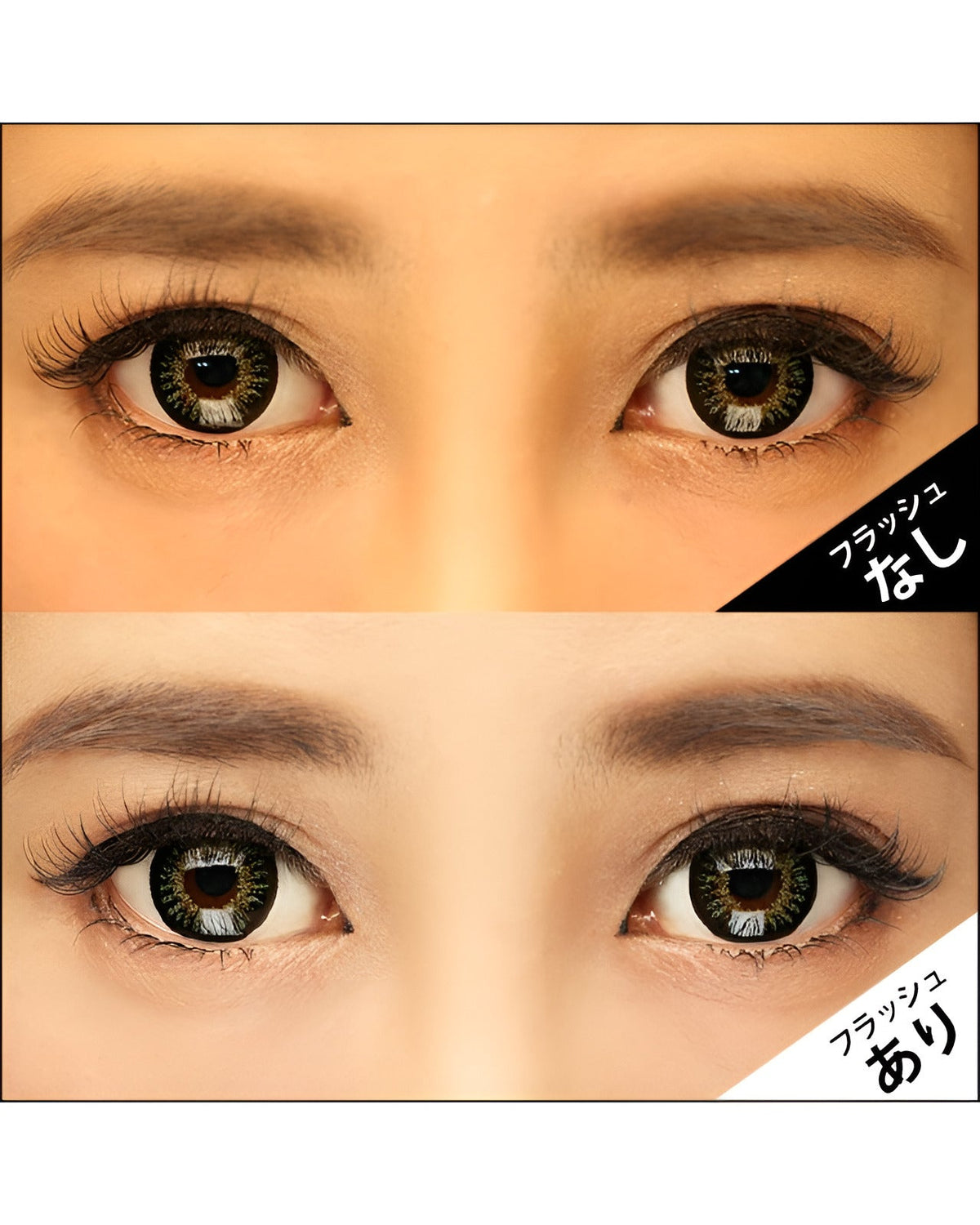 クイーン11 [Queen11] DIA15.0mm 最長1年【2枚(1箱1枚ずつ)】 グリーン 6枚目