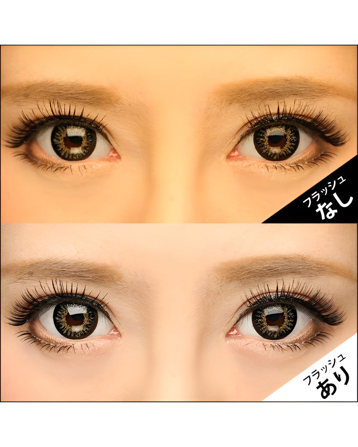 クイーン11 [Queen11] DIA15.0mm 最長1年【2枚(1箱1枚ずつ)】 グレー 7枚目