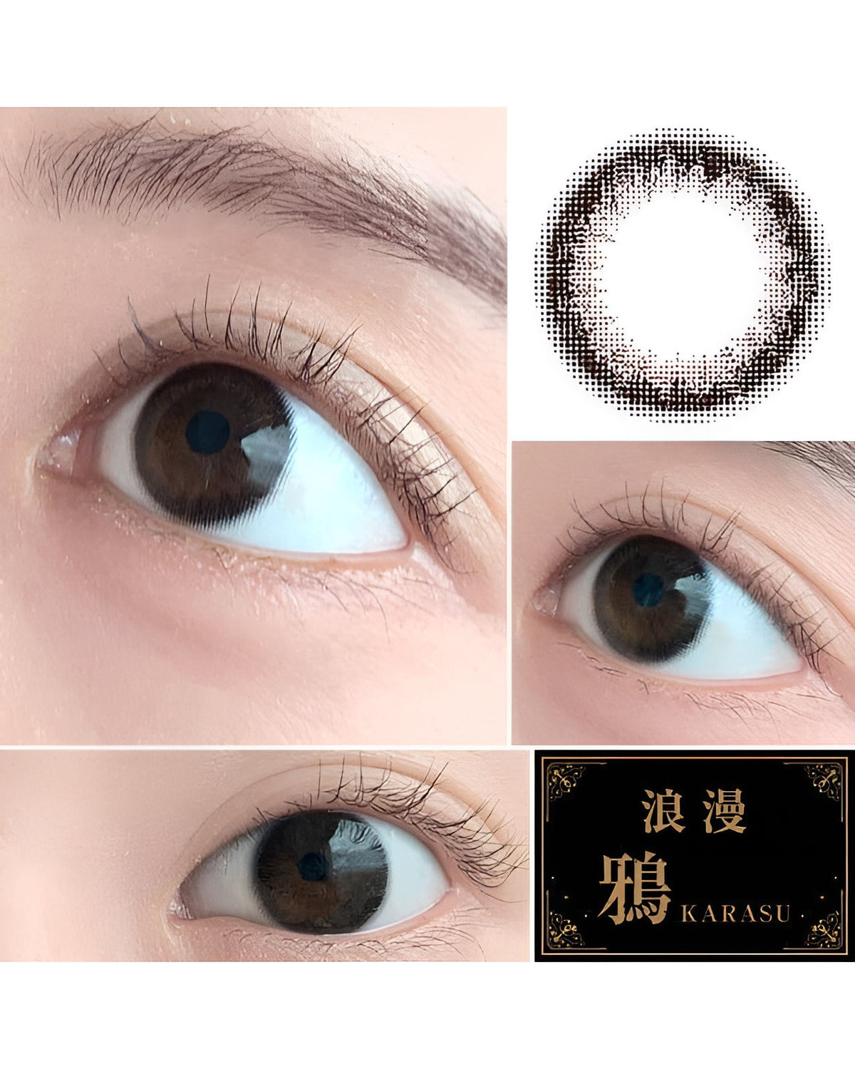 浪漫 [ROMAN] DIA14.0mm 最長1年【2枚(1箱1枚ずつ)】 鴉 2枚目