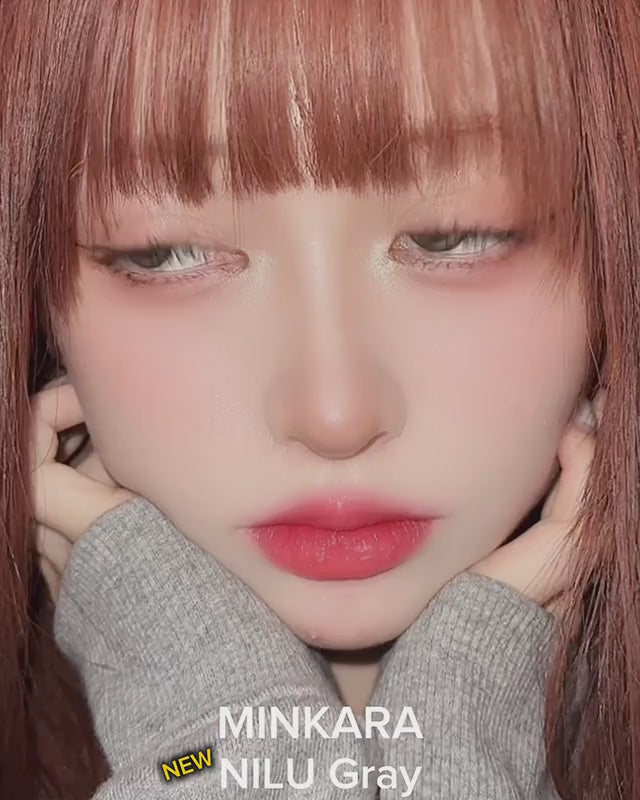 動画 NILU.mp4